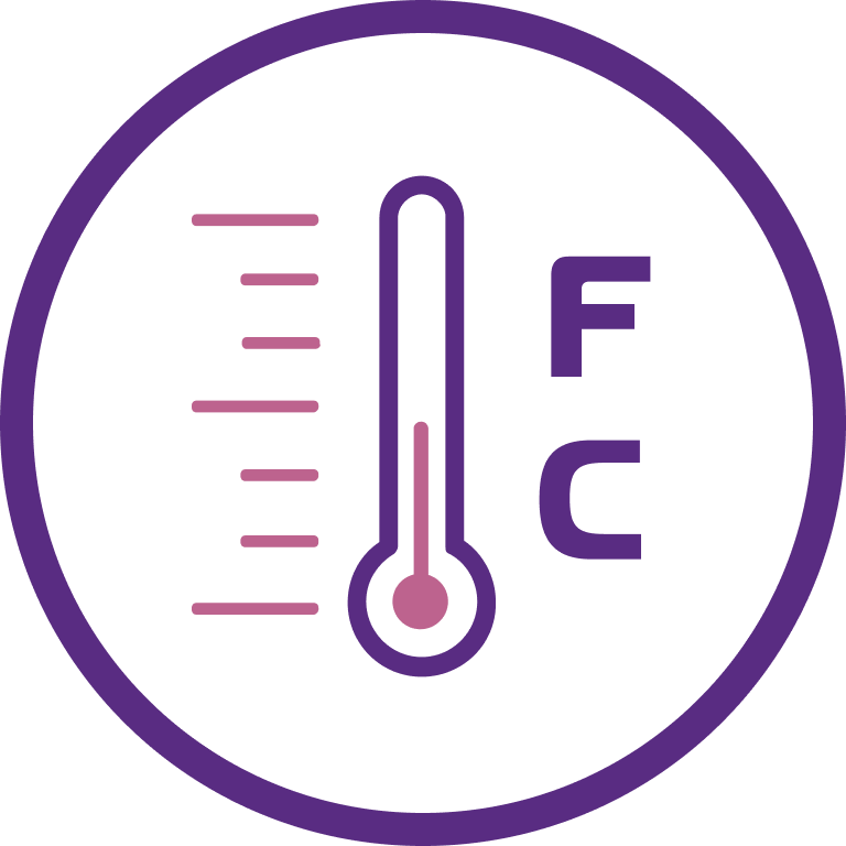 Thermometer icon
