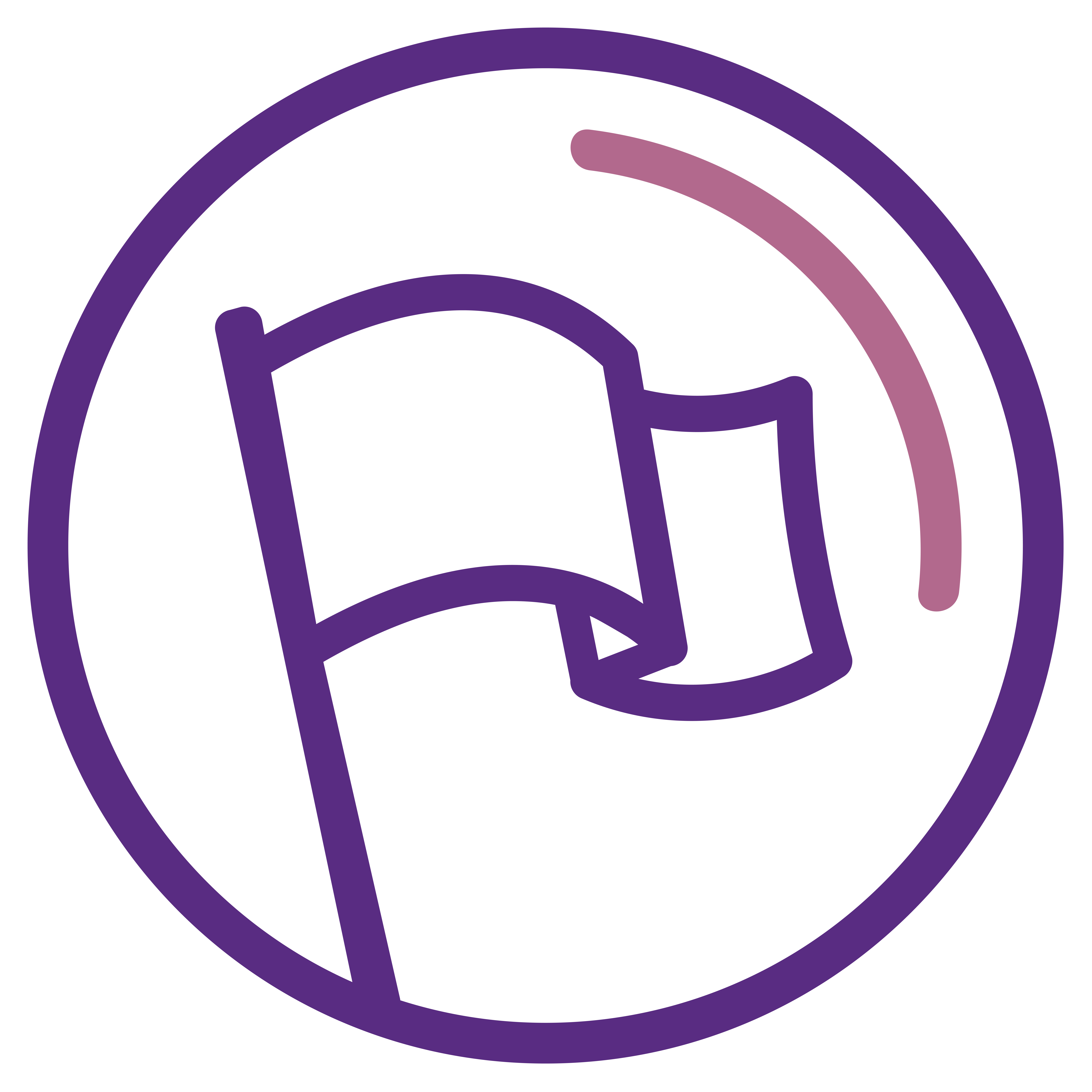 Flagship icon