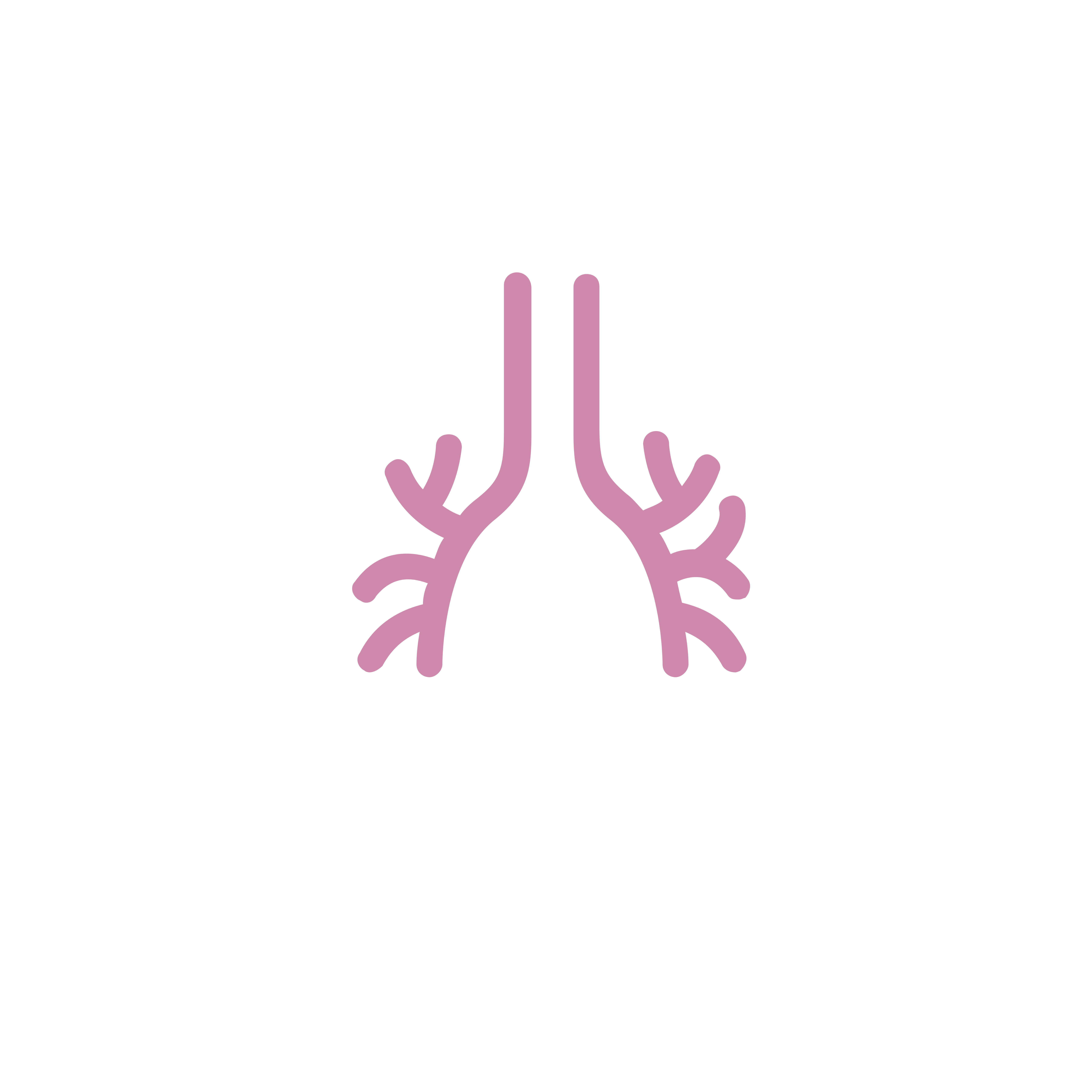 Lungs icon